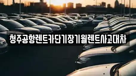 충북 청주시 청원구 오창읍 단기렌트카 전문 청주공항렌트카단기장기월렌트사고대차