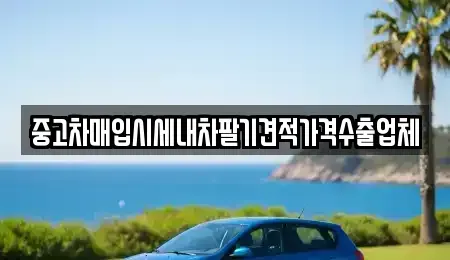 충북 청주시 청원구 오창읍 중고차매입 전문 중고차매입시세내차팔기견적가격수출업체