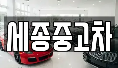 충청남도 공주시 쌍신동 중고차 전문 세종중고차