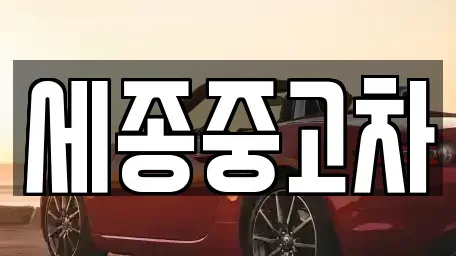 충청남도 공주시 쌍신동 중고차매매 전문 세종중고차