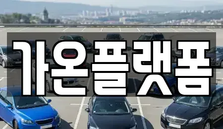 충청남도 논산시 화지동 장기렌트카 전문 가온플랫폼