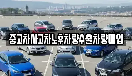 충청남도 당진시 대덕동 중고차 전문 중고차사고차노후차량수출차량매입