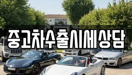 충청남도 아산시 법곡동 중고차 전문 중고차수출시세상담