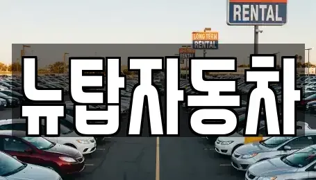 충청남도 천안시 서북구 와촌동 중고차 전문 뉴탑자동차