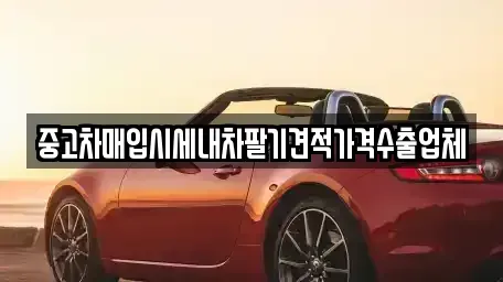 충청남도 천안시 서북구 와촌동 중고차매입 전문 중고차매입시세내차팔기견적가격수출업체