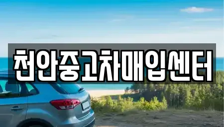 충청남도 천안시 서북구 와촌동 중고차매입 전문 천안중고차매입센터