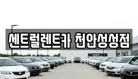 충청남도 천안시 서북구 차암동 렌트카 전문 센트럴렌트카 천안성성점