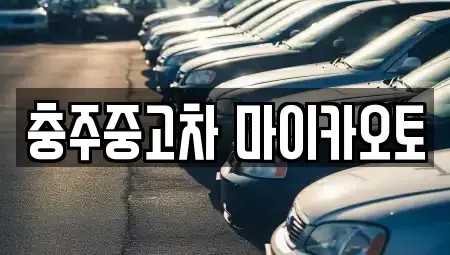 충청북도 충주시 안림동 중고차매매 전문 충주중고차 마이카오토