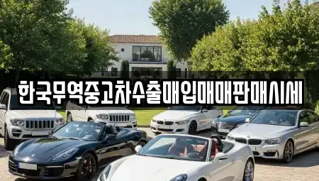충청북도 충주시 안림동 중고차매매 전문 한국무역중고차수출매입매매판매시세