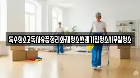 특수청소고독사유품정리화재청소쓰레기집청소사무실청소