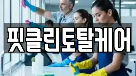 핏클린토탈케어